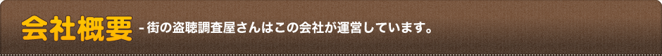 会社概要-街の盗聴調査屋さんはこの会社が運営しています。
